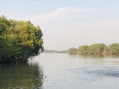 -长兴太湖图影湿地文化园