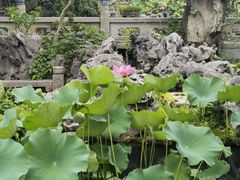 -苏州冶园园林民宿(太湖西山风景区店)