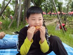 -春花秋色城市公园