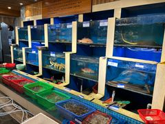 -鹰龙海畔度假酒店(咸祥店)