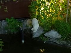 -十二厨·土菜雅院