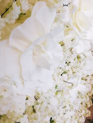 -梵梦影像馆(绿博园店)