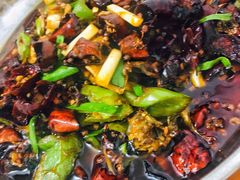 鲜炒螺肉-三哥田螺(北书院街店)