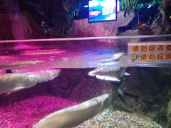 -左海海底世界