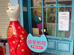 -猫咪博物馆(顶澳仔猫街店)
