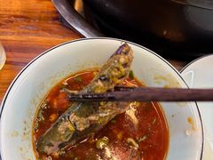 -金海椒罐罐鲢鱼(东方桂苑店)