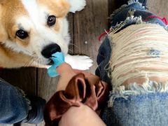 -肥朵食堂(带梦胡同店)