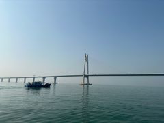 -招商蛇口邮轮母港(观光客运)