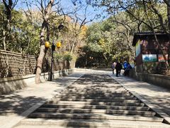 -灵岩山风景区