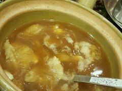 -大中鱼翅 Taitong Shark Fin