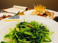 -广州富力君悦大酒店空中花园