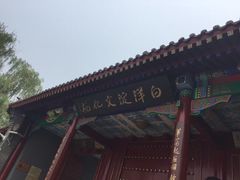 -白洋淀景区