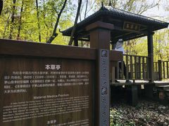 -句容茅山景区