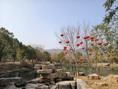 -习家池