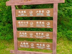 -五营红松林海景区