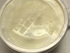 -Caidie Bakery采蝶轩(百越店)