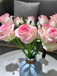 -MIDA蜜哒•科技逆龄美肤连锁