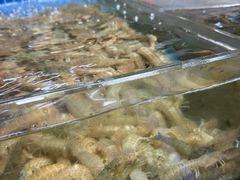 -滑记海鲜饭店·老字号(海鲜街店)