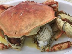 -渔中舟海鲜大排档(普陀沈家门店)