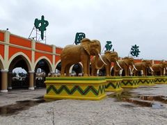 -中国死海旅游度假区