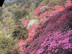 -木兰云雾山