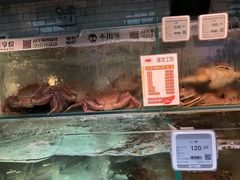 -超级物种(省府店)