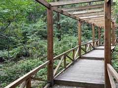 -大岭沟猕猴桃谷风景区