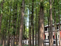 -东坡赤壁风景名胜区