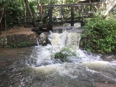 -呀诺达热带雨林