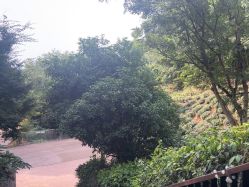 点击看大图 -尚圣月子会所·庄园式月子中心(萧山湘湖店)