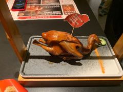 -岭南站NOVA