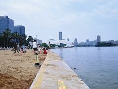 -金沙湖公园