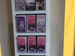 -锦江旅游(上海旅行社店)