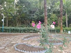 -阳台山森林公园