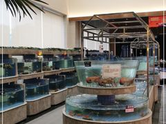 水产区-壹品盛宴(企石店)