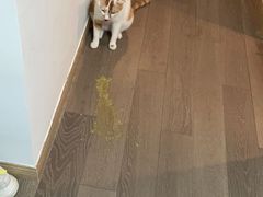 -萌兽医馆·宠物医院·猫骨科(创景店)