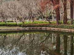 -晓港公园