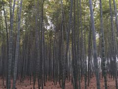 -同里国家湿地公园