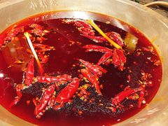 -小龙坎火锅(春熙太古里店)