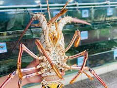 -小海豚•老字号海鲜餐厅(天涯店)