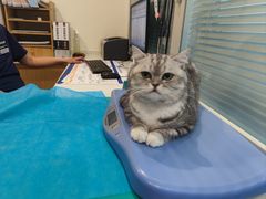 -美迦爱-牙专科·兔科·骨科诊疗中心(北苑店)