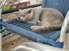 -NOTOOCAFE不二咖啡馆(岩前店)