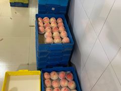 -老袁家蜜桃农场·阳山水蜜桃