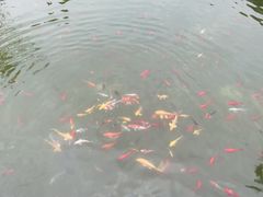 -西安华清御汤酒店