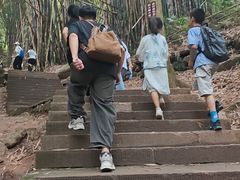 -凤栖山