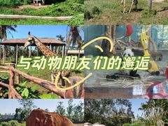 -海南热带野生动植物园