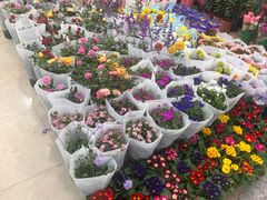 -双季花艺园艺市场(浦东店)
