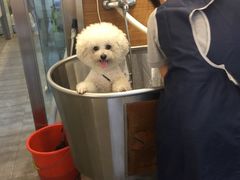 -PETKIT小佩宠物(古北店)
