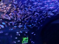 -成都浩海立方海洋公园