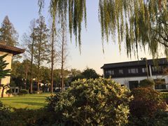 -杭州西湖柳莺里酒店·闻莺厅